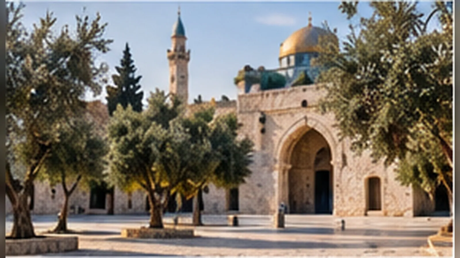 استعادة الأراضي المتدهورة وزراعة الأشجار: متى يصبح التشجير مشروع حماية للماء والتربة والدخل؟
